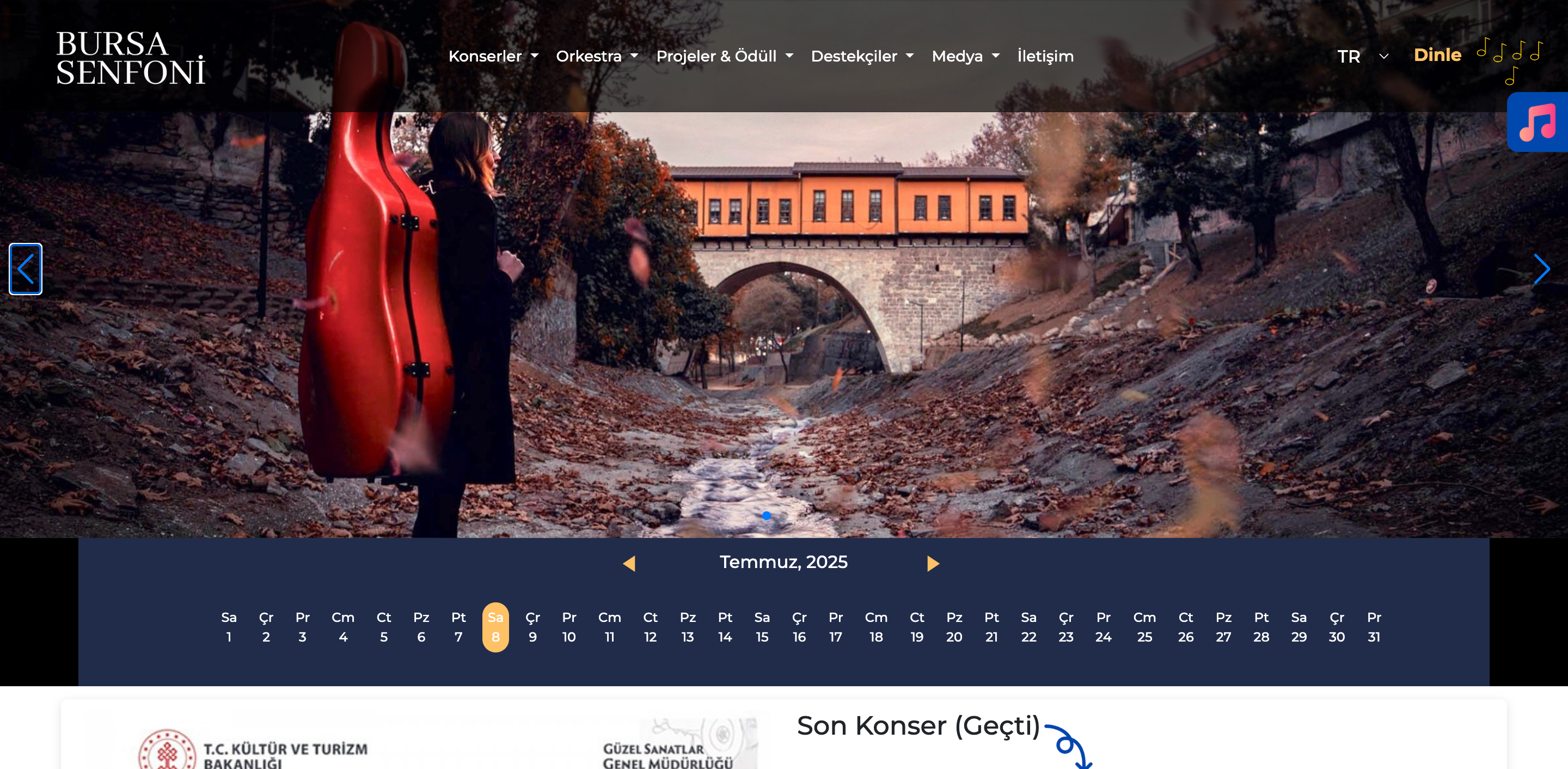 Özel Tasarım Web Sitesi